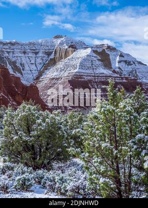 Jour de neige dans le parc, Parc d'état de Kodachrome Basin, Cannonville, Utah. Banque D'Images