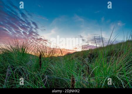 Belles couleurs bleu et orange du soleil se coucher derrière une dune, au coucher du soleil. Herbe en premier plan. Banque D'Images