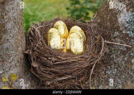 Nicher avec des œufs de chocolat au lait emballés dans du papier doré pour Pâques Banque D'Images