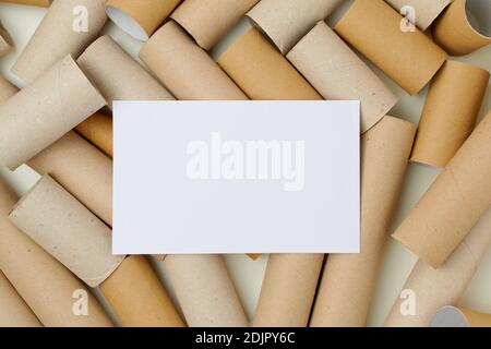 pose à plat avec tubes de papier hygiénique et feuille de papier. Banque D'Images