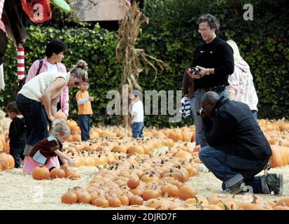 Heidi Klum et Seal emparent leur couvée de plus en plus au Pumpkin Patch à West Hollywood, Californie. Les enfants jouaient avec des squelettes et couraient autour dans une citrouille rebondissante. Ils ont même pris un tour sur des poneys mais la paire a refusé de faire peindre leurs visages. La famille a passé deux heures dans le hotspot d'Halloween avant de choisir quelques citrouilles et de rentrer à la maison. 10/14/06 Banque D'Images