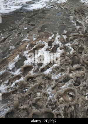 Porridge of snow and grease on the road. Uncleared city roads in winter. Stock Photo