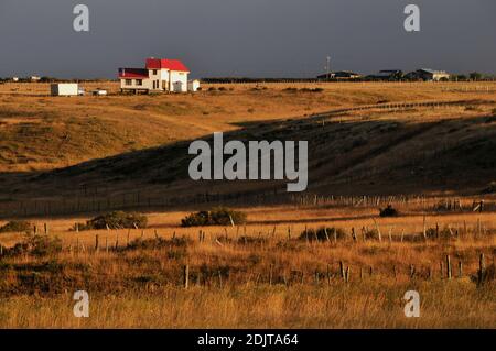 Amérique du Sud, Chili, région de Xll, Patagonie, Puerto Natales, Banque D'Images