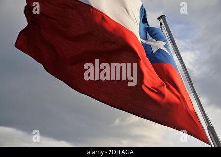 Amérique du Sud, Chili, région de Xll, Patagonie, Punta Arenas, drapeau chilien Banque D'Images