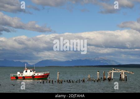 Amérique du Sud, Chili, région de Xll, Patagonie, Puerto Natales, Banque D'Images