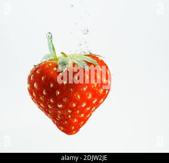 Strawberry tombe profondément sous l'eau avec un grand bruit. Naufrage de fruits dans l'eau claire sur fond blanc. Concept antioxydant Banque D'Images