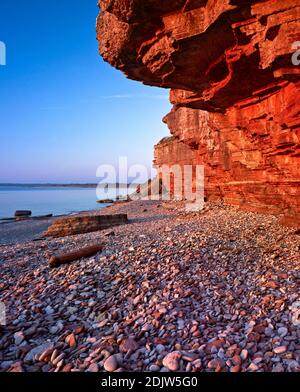 Europe, Suède, Smaland, île d'Öland, côte escarpée à la lumière du soleil du soir, côte ouest, plage de galets, ardoise calcaire Banque D'Images