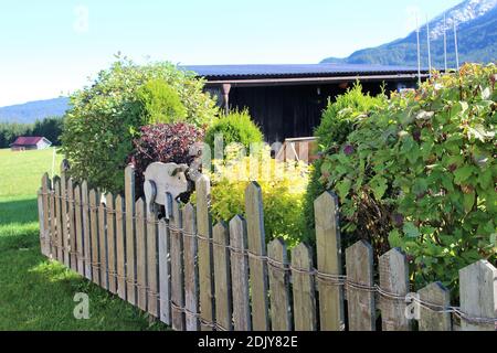 Loisirs, jardin, jardin d'allotement dans les prés à bosse près de Mittenwald, porc, figure décorative, clôture, vivaces, buissons, atmosphère Banque D'Images