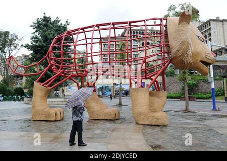 Exclusif. Une femme vivant à Chishui interagit avec un tigre géant. Le Woo de Chishui est un projet artistique élaboré par l'artiste Gad Weil en association avec l'office du tourisme de la ville pour promouvoir le tourisme dans la région. La couleur rouge de l'acier représente la rivière rouge qui traverse le Chishui et l'acier vert symbolise la Fern de l'arbre (Cibotium barometz) et le bambou très présent dans la région. Les têtes et les pieds des cinq animaux géants (un oiseau de grue, un tigre, et pas encore construit: Un singe, un dauphin et un dinosaure) sont faits de bambou. Cet événement écologique a pour but d'inviter les gens à participer à l'événement Banque D'Images