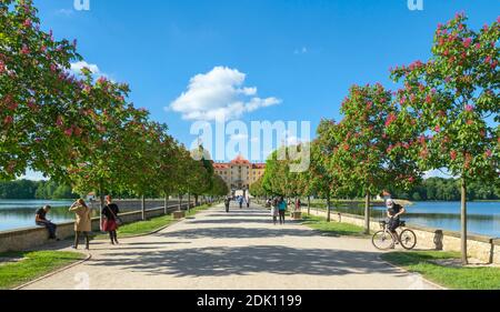 Allemagne, Saxe, Moritzburg, Château de Moritzburg, Kastanienallee, bassin de Moritzburg Banque D'Images