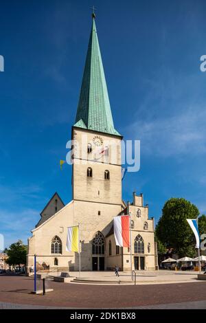 Allemagne, Borken, Parc naturel de l'Ouest de l'Hohe Mark, pays de la Muensterland, Westphalie, Rhénanie-du-Nord-Westphalie, Propsteikirche St. Remigius, Église catholique, Église paroissiale Banque D'Images