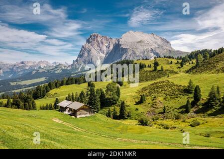 Huttes de montagne traditionnelles dans les pâturages de l'alpe di siusi, avec le Sassopiatto / Plattkofel en arrière-plan, province de bolzano, Tyrol du Sud / Südtirol, Italie, Europe Banque D'Images