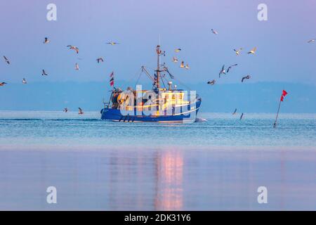 Allemagne, Schleswig-Holstein, Niendorf, lever du soleil sur la mer, les pêcheurs qui pêchent du poisson, Banque D'Images