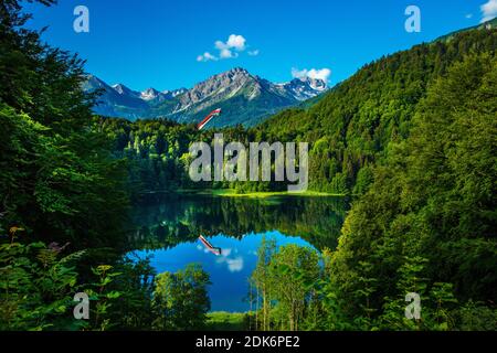 Bayern, Allgäu, Oberstdorf. Blick über den Freiberg zur neuen Heini-Klopfer-Schanze Banque D'Images