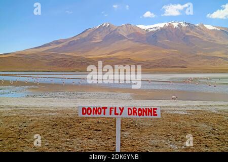 Avertissement Signpost au lac Hedionda dans l'Altiplano bolivien avec une flamante flamboyant de Flamingos roses, département de Potosi de Bolivie Banque D'Images