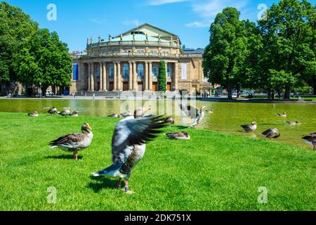 Allemagne, Bade-Wurtemberg, ville de Stuttgart, Opéra d'Etat, parc du château - vue sur Eckensee Banque D'Images