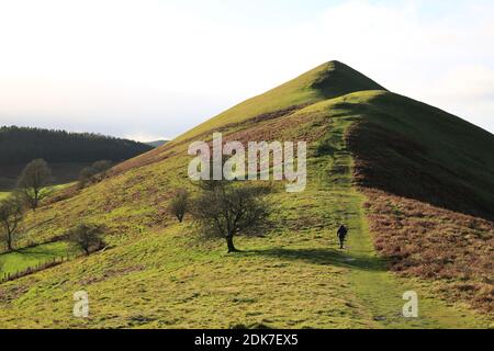 Un marcheur sur la Lawley, une des collines du Shropshire, Angleterre, Royaume-Uni. Banque D'Images