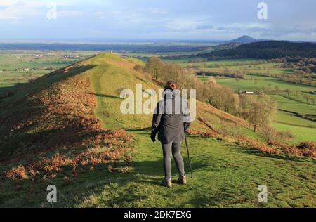 Un marcheur appréciant la vue de la Lawley, l'une des collines du Shropshire, Angleterre, Royaume-Uni. Banque D'Images