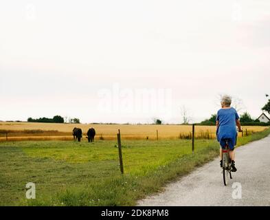 Femme plus âgée qui fait du vélo et regarde les vaches Banque D'Images