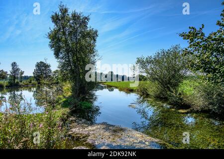 Allemagne, Bavière, haute-Bavière, Ebersberg district, Forstinning, Schwabener Moos, Anzinger Sempt à la Kressiermühle Banque D'Images