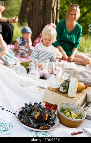 Family having picnic Banque D'Images