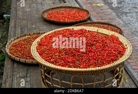 Piments rouges en raphia bols à vendre, Luang Prabang, Laos Banque D'Images