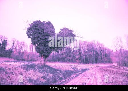 Paysage violet surréaliste fantaisie. Arbre en forme de coeur dans le champ. Ressort. Campagne non ornée vie rurale romance. Protéger l'environnement, le changement climatique. Banque D'Images