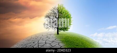 Tree on a globe in climate change Stock Photo