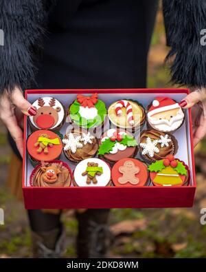 Une boîte de délicieux gâteaux de Noël colorés avec différentes décorations Banque D'Images