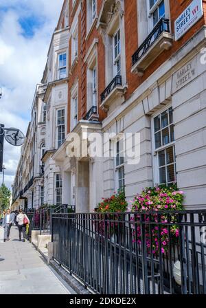 Harley Street Marylebone, dans le centre de Londres, a été notée depuis le XIXe siècle pour son grand nombre de spécialistes privés en médecine et en chirurgie. Banque D'Images