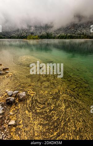 Au printemps, le pollen jaune provenant des conifères dérive sur les rives de l'Eibsee, dans les monts Wetterstein. En arrière-plan une petite île avec une cabane en bois, de la neige sur la forêt et un ciel couvert. Banque D'Images