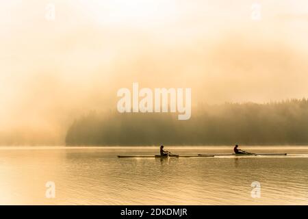 Les kayakistes ou les pilotes de skiff de course profitent d'une promenade à bord de Sylvensteinspeicher en début de matinée au lever du soleil, dans le brouillard et l'ambiance légère. Banque D'Images