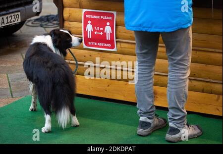 15 décembre 2020, Rhénanie-du-Nord-Westphalie, Bielefeld : un chien est debout à côté de son maître. À côté d'un panneau « Please distance 1.5 m ». A partir de demain, mercredi 16 décembre 2020, un verrouillage national commence, que le gouvernement fédéral et les États ont décidé. Photo: Friso Gentsch/dpa Banque D'Images