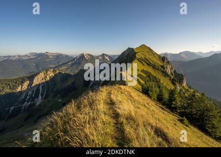 L'arête entre le Sonntagsspitze et le Schreckenspitze dans le Karwendel, dans les Alpes tyroliennes sur l'Achensee, dans la lumière chaude du matin d'une journée de fin d'été avec de grandes herbes ou des prairies de montagne. Banque D'Images