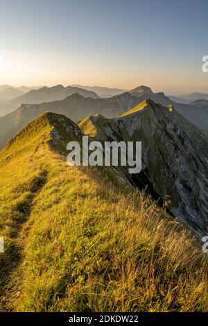 L'arête entre le Sonntagsspitze et le Schreckenspitze dans le Karwendel, dans les Alpes tyroliennes sur l'Achensee, dans la lumière chaude du matin d'une journée de fin d'été avec de grandes herbes ou des prairies de montagne. Banque D'Images