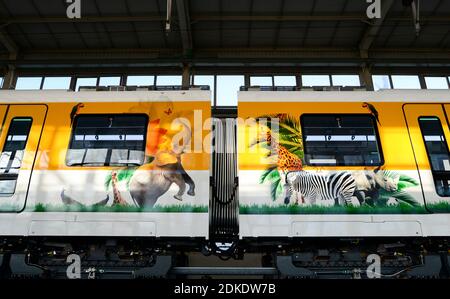 (201215) -- CHANGCHUN, 15 décembre 2020 (Xinhua) -- la photo prise le 15 décembre 2020 montre la peinture extérieure d'un nouveau type de train de lévitation magnétique à vitesse moyenne à basse terminé dans la ville de Changchun, dans la province de Jilin, dans le nord-est de la Chine. Le fabricant chinois de trains CRRC Changchun Railway Vehicles Co., Ltd. A lancé mardi un nouveau type de train de lévitation magnétique à vitesse moyenne à basse. Le train, dont la vitesse opérationnelle maximale est de 120 km/h, sera déployé sur une route touristique dans la ville de Qingyuan, dans la province de Guangdong, au sud de la Chine, selon la compagnie. POUR ALLER AVEC:'la Chine développe de nouveaux moyens-à-bas Banque D'Images