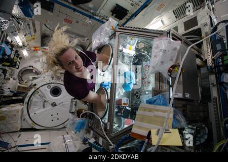 ISS - 09 décembre 2020 - astronaute et expédition de la NASA 64 l'ingénieur de vol Kate Rubins travaille à l'intérieur des sciences de la vie Boîte à gants menant des recherches pour Banque D'Images