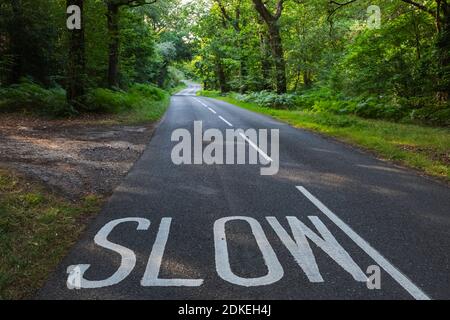 Angleterre, Hampshire, New Forest, route vide avec signe lent et arbres Banque D'Images