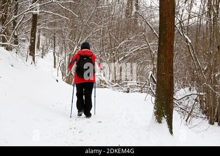 Marche nordique en hiver, homme avec sac à dos et bâtons dans le parc pendant la neige. Temps froid, concept de mode de vie sain Banque D'Images