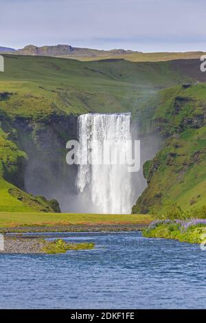 Skogafoss, chute d'eau de 63 m de haut située sur la rivière Skógá en été, Skógar, Islande Banque D'Images