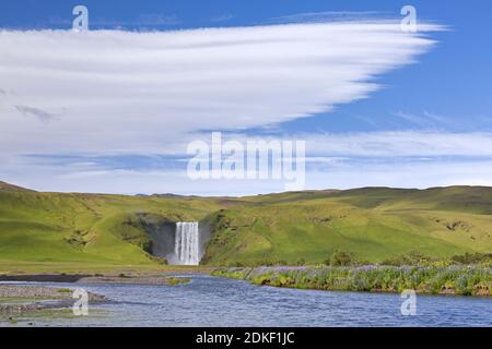 Skogafoss, chute d'eau de 63 m de haut située sur la rivière Skógá en été, Skógar, Islande Banque D'Images