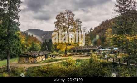 Siebenhüttenalm près de Kreuth en automne Banque D'Images