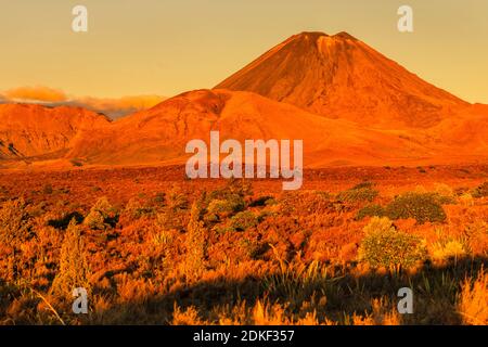 Mont Ruapehu au coucher du soleil, Parc national de Tongariro, site classé au patrimoine mondial de l'UNESCO, Ruapehu, Île du Nord, Nouvelle-Zélande, Océanie Banque D'Images