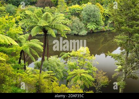 Parc Pukekura, jardins botaniques, New Plymouth, Taranaki, Île du Nord, Nouvelle-Zélande