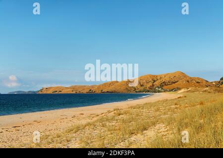 Coucher de soleil à Otama Beach, près du village de Whitianga, péninsule de Coromandel, Waitako, Île du Nord, Nouvelle-Zélande, Océanie, Whitianga Banque D'Images