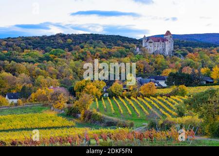 Maria Enzersdorf, Château du Liechtenstein, lieu d'origine de la Maison du Liechtenstein, vignoble, vue de la colline Kleiner Rauchkogel, couleurs des feuilles d'automne, Wienerwald (Bois de Vienne), Niederösterreich / Basse-Autriche, Autriche Banque D'Images