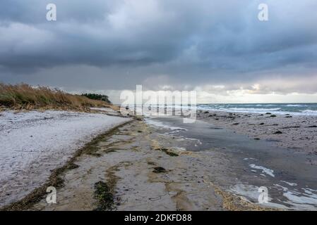 Allemagne, Mecklembourg-Poméranie occidentale, Prerow, sauvage et romantique plage ouest, Mer Baltique Banque D'Images