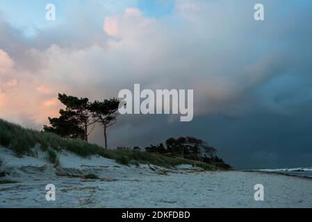 Allemagne, Mecklembourg-Poméranie occidentale, Prerow, lever du soleil sur la plage ouest, Mer Baltique Banque D'Images