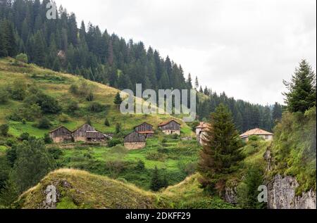 Maisons et dépendances (hangars) dans le village de Mugla en conifères Forêt sur les pentes abruptes des montagnes Rhodope dans Mauvais temps nuageux (Rhodop Banque D'Images