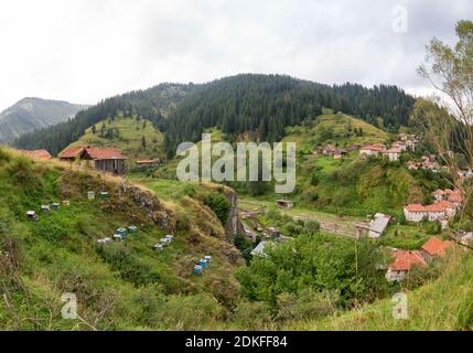 Maisons, dépendances (hangars) et apiary dans le village de Mugla dans la forêt de conifères sur les pentes abruptes des montagnes Rhodope par mauvais temps nuageux Banque D'Images